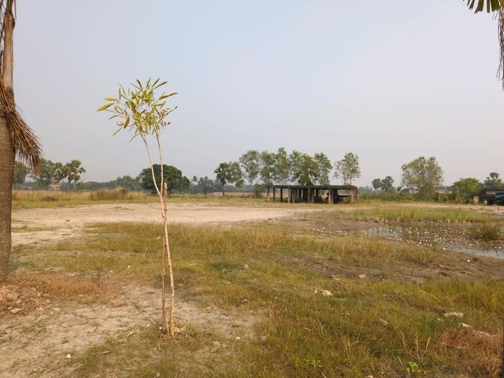 Metroplex City Main Image 1