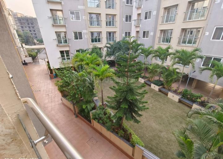 Belleza Main Image 1