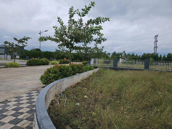 Uruli Kanchan Main Image 1