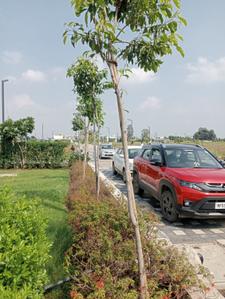 Image of 900 Sq.ft Residential Plot / Land for sale in Mamta Golden Valley, Balya Kheda, Indore for Rs. 4590000