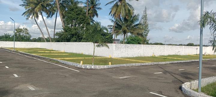 Tulip Garden Main Image 1