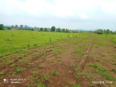 Image of 10764 Sq.ft Residential Plot / Land for sale in Trimbak, Nashik for Rs. 4000000