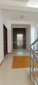 Hall Image of 800 Sq.ft 2 BHK Apartment / Flat for sale in Kakkanad Kochi for Rs. 3200000