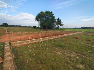 Image of 1200 Sq.ft Residential Plot / Land for sale in Dhaua, Bhubaneswar for Rs. 1500000
