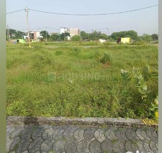 Residential Plot