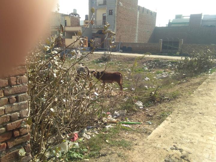 Residential 1600 Sqft Plot for sale at Gazipur, Zirakpur Property ID