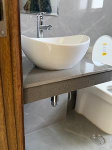 Bathroom Image of 1620 Sq.ft 3.5 BHK Builder Floor for sale in M3M City Of Dreams, Kabri Panipat for Rs. 14000000