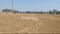 Hesal Main Image 1