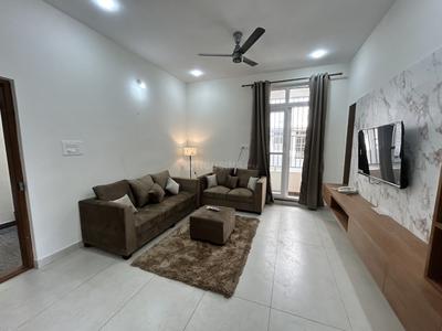 Hall Image of 1202 Sq.ft 2 BHK Apartment / Flat for rent in BTM Layout 2nd Stage Bengaluru for Rs. 54999