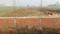 Vrindavan colony Main Image 1