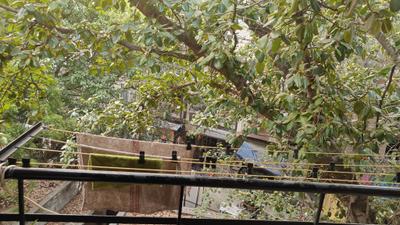 Balcony Image of 650 Sq.ft 2.5 BHK Builder Floor for sale in Patel Nagar New Delhi for Rs. 8000000