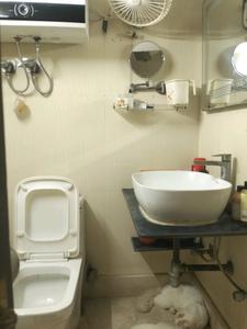 Common Bathroom Image of 1100 Sq.ft 2 BHK Apartment / Flat for sale in Paschim Vihar New Delhi for Rs. 15500000