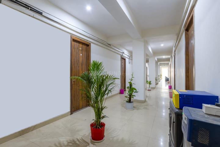 Hall Image of Blue star star  in Sector 52, Noida