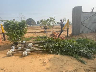 Vatika vihar  Plot View 1