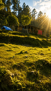 Image of 300 Sq.ft Residential Plot / Land for sale in Kanyura, Almora for Rs. 2500000