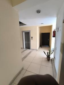 Hall Image of 1875 Sq.ft 3.5 BHK Apartment / Flat for sale in Paras Panorama, Sector 126 Mohali for Rs. 9500000