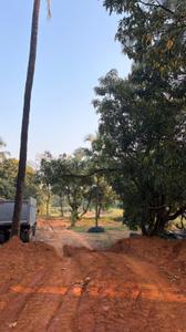Image of 301 Sq.ft Residential Plot / Land for sale in Ebrix Graama, Insuli, Sindhudurg for Rs. 14030795
