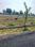 Balaji Group  Plot View 2