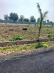 Balaji Group  Plot View 2
