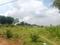 SAI PRAKASH Main Image 1