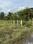 Residential plot Plot View 2
