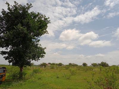 Mahbubnagar Town Plot View 2
