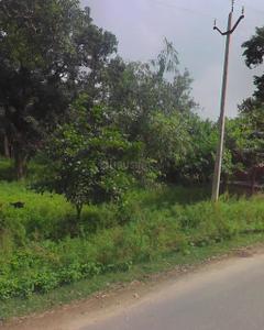 Image of 800 Sq.ft Residential Plot / Land for sale in Shahar Khas Basti Begam, Shahjahanpur for Rs. 200000