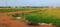 AIIMS CITY Plot View 2