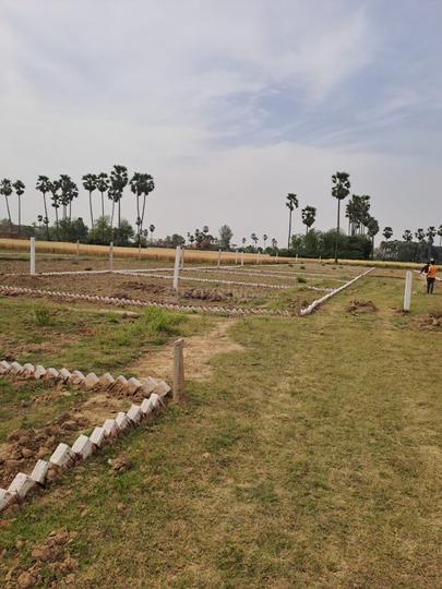 Bihta Main Image 1