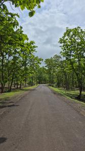 Image of 5000 Sq.ft Residential Plot / Land for sale in Simrol, Indore for Rs. 1500000