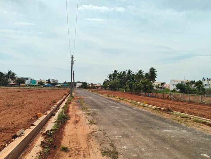 Sulur Main Image 1