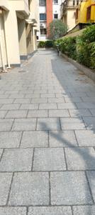 Image of 900 Sq.ft 2 BHK Apartment / Flat for sale in Kamdahari, Kolkata for Rs. 6200000