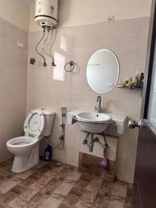 Bathroom Image of 1200 Sq.ft 2 BHK Apartment / Flat for rent in Premier Urban, Sector 14 Gurgaon for Rs. 43500