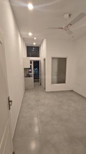 Hall Image of 505 Sq.ft 1 RK Studio for rent in S P Nx One, Noida Extension Greater Noida for Rs. 16000