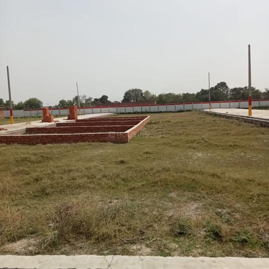 Tikra Main Image 1