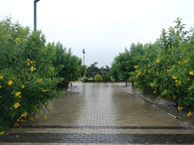 Image of 150 Sq.ft Residential Plot / Land for sale in Mansha Oaks, Sector 98, Faridabad for Rs. 16200000