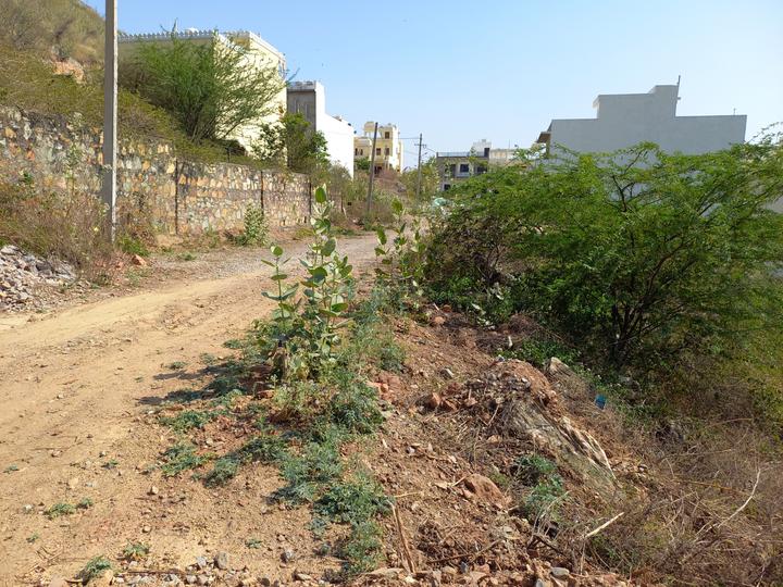 Chitrakoot Nagar Main Image 1