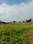 150 gaz plot dalanwala Main Image 1