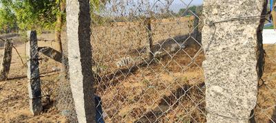 Image of 1750 Sq.ft Residential Plot / Land for sale in Thenabanda Dargah, Chittoor for Rs. 3000000