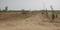 Jewar Plot View 1