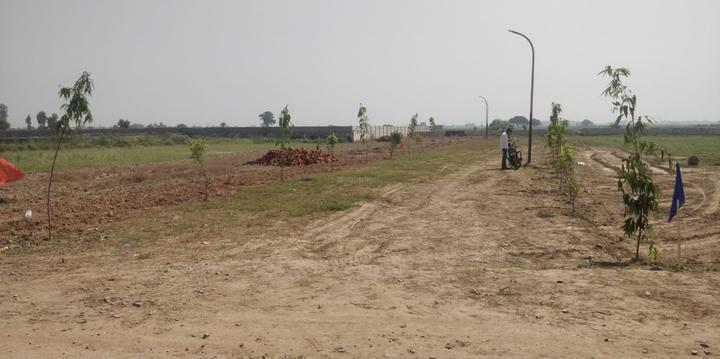 Jewar Plot View 1