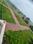 Jalpura, Noida Extension Plot View 2