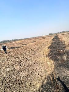Image of 1089 Sq.ft Residential Plot / Land for sale in Ranjanpada, Navi Mumbai for Rs. 590000