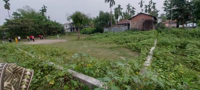 Image of 8585 Sq.ft Residential Plot / Land for sale in Khagrabari, Cooch Behar for Rs. 50000000