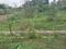 Image of 2000 Sq.ft Residential Plot / Land for sale in Shri Ramanagara, Davanagere for Rs. 5000000