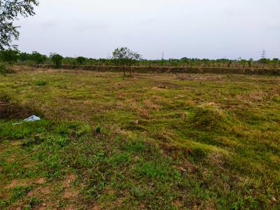 Raghavendra Colony Plot View 2