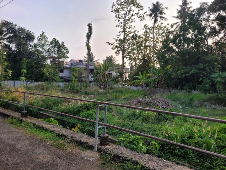 Angamaly Main Image 1