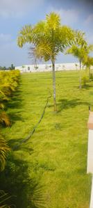 Image of 1200 Sq.ft Residential Plot / Land for sale in Kariampalayam, Coimbatore for Rs. 1800000