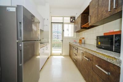 Kitchen Image of 1730 Sq.ft 3 BHK Apartment / Flat for sale in Vatika Gurgaon 21, Sector 83 Gurgaon for Rs. 18100000
