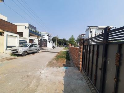 IIP Plot View 2